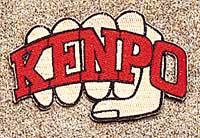 Red Kenpo Fist Patch